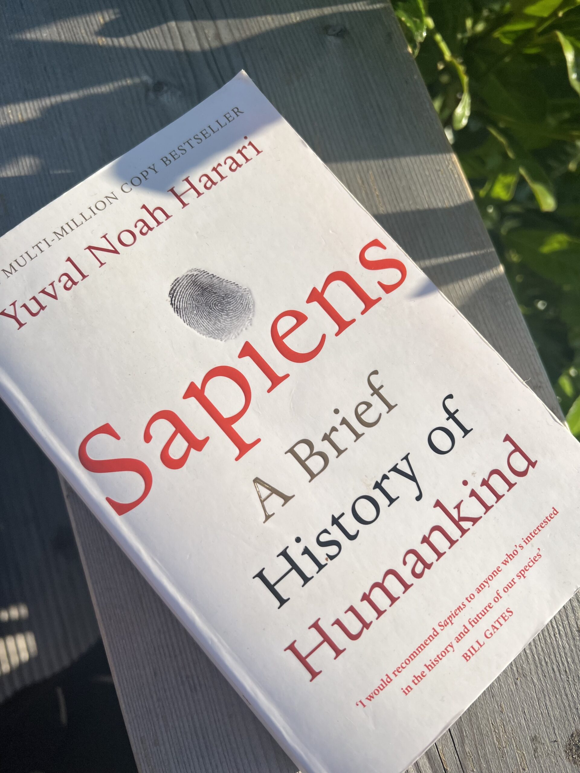 sapiens summary book review